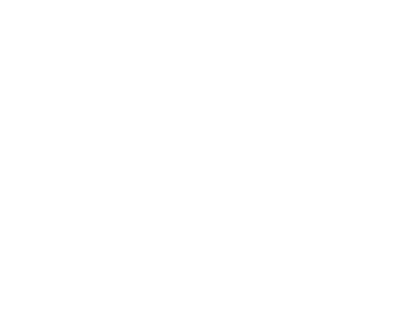 Swiss army icon